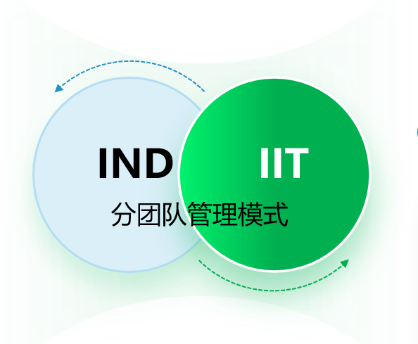 项目分类管理